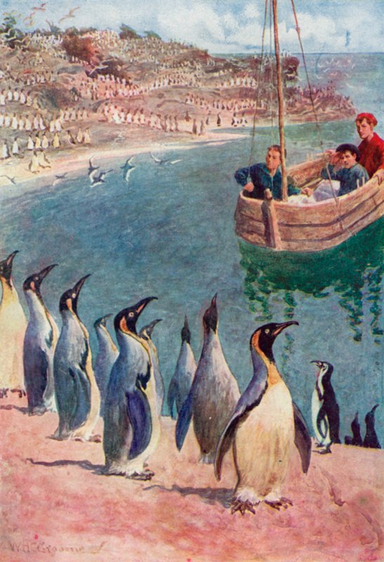 Guardavamo gli uccelli con sorpresa e piacere, loro ricambiavano il nostro sguardo con interesse da William Henry Charles Groome