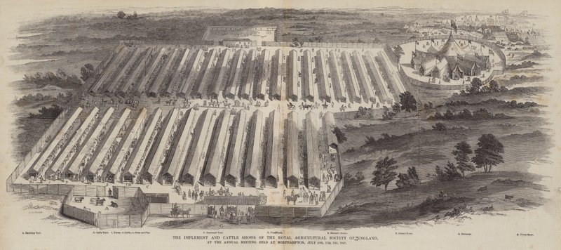 Le Mostre di Attrezzi e Bestiame della Società Agricola Reale d