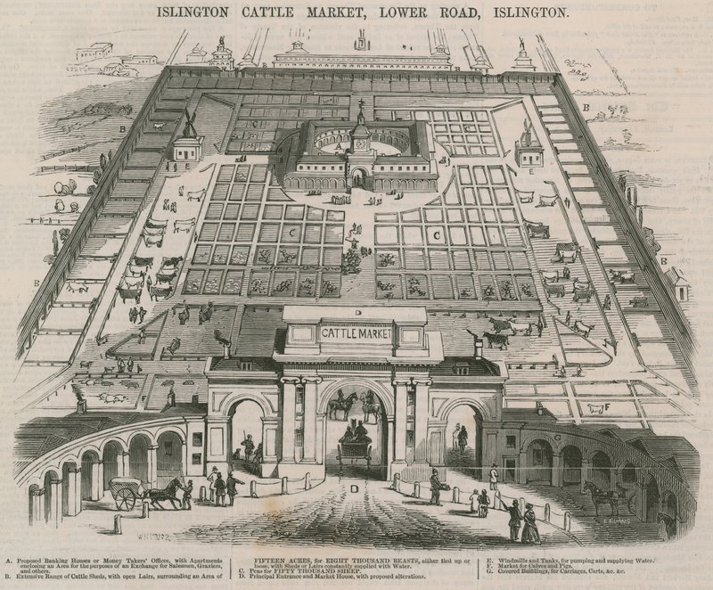 Mercato del bestiame di Islington, Lower Road, Islington, Londra da William Henry Prior