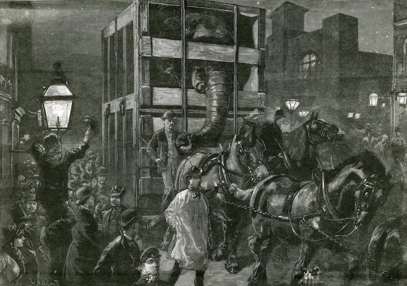 Il viaggio di Jumbo ai moli da William Heysham Overend