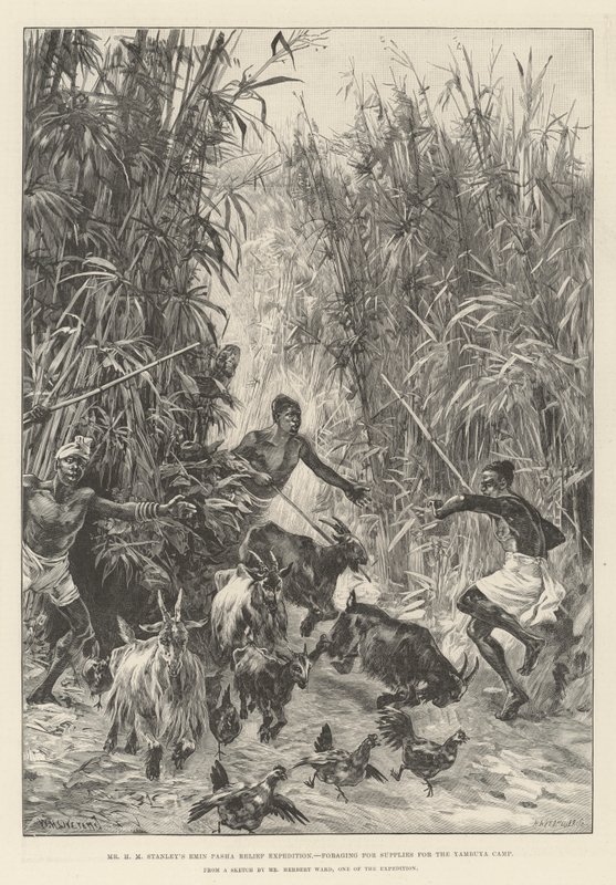 La spedizione di soccorso di Emin Pasha di Mr H M Stanley, alla ricerca di rifornimenti per il campo di Yambuya da William Heysham Overend
