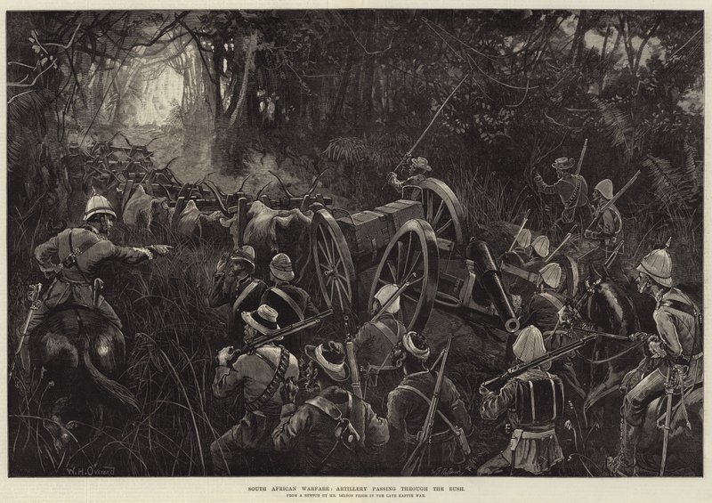 Guerra sudafricana, artiglieria che attraversa la boscaglia da William Heysham Overend