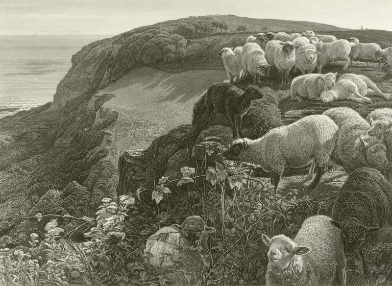 Sul pendio (incisione) da William Holman Hunt