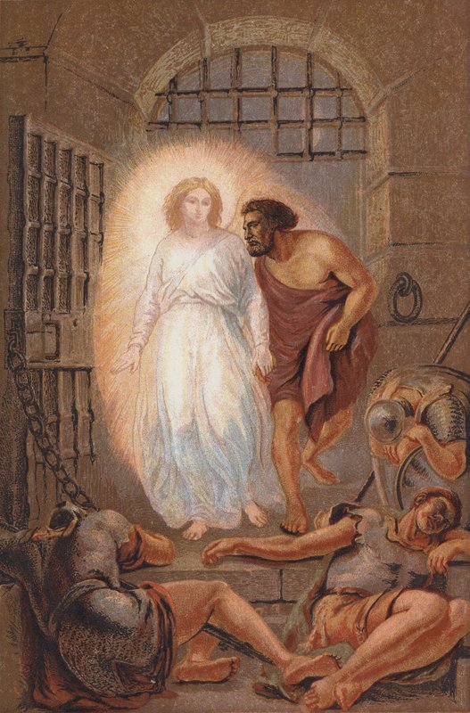 La liberazione di San Pietro da William II Hilton