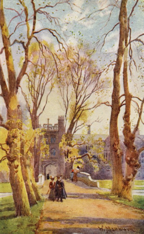 Ponte e viale del Trinity College, con cancello che conduce al nuovo cortile da William Matthison