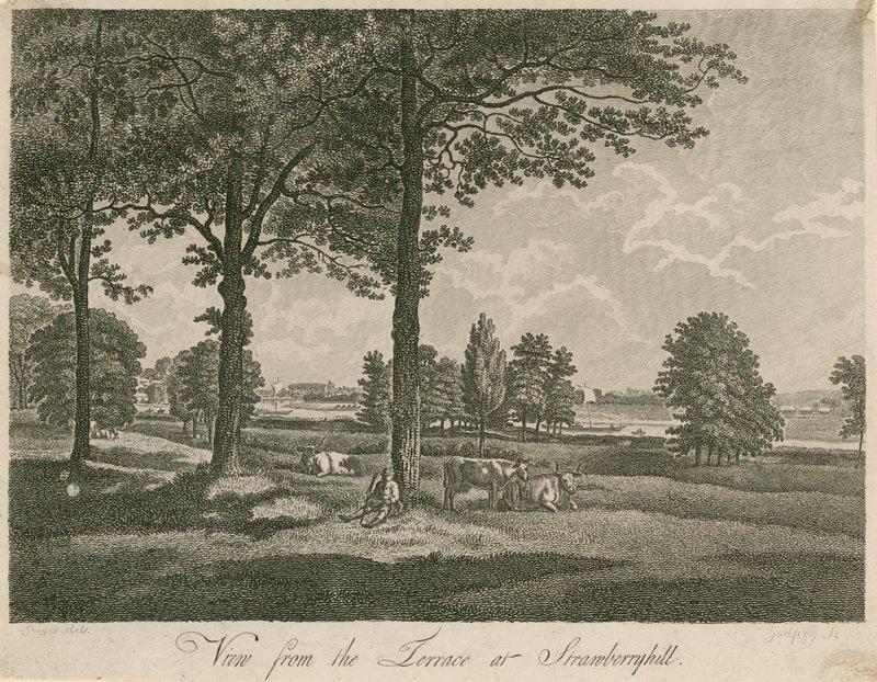 Vista dalla terrazza di Strawberry Hill, Londra da William Pars