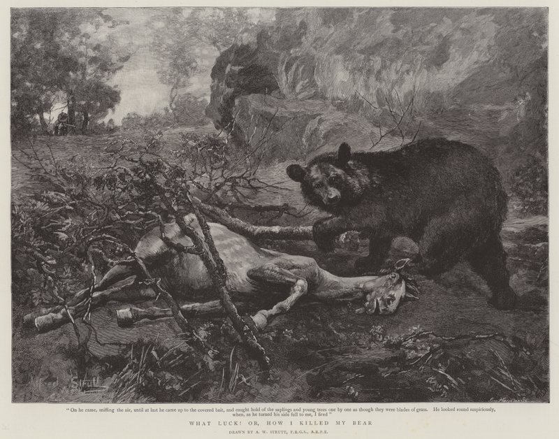 Che fortuna! o, come ho ucciso il mio orso da William Strutt