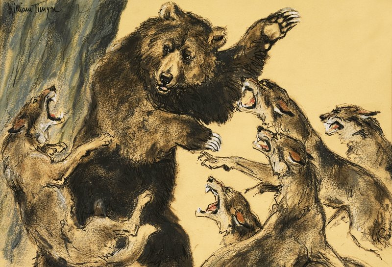 Orso che combatte contro i lupi da William Timyn