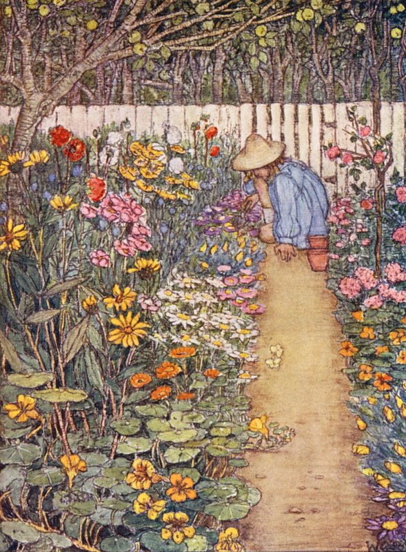 Libro di giardinaggio per bambini: Un bordo erbaceo da Winifred Cayley Robinson