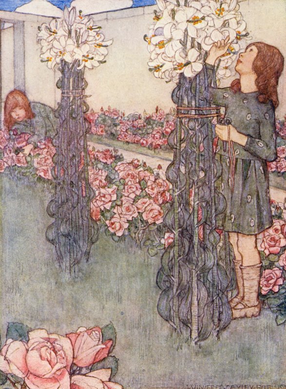 Libro di Giardinaggio per Bambini: Gigli e Rose da Winifred Cayley Robinson