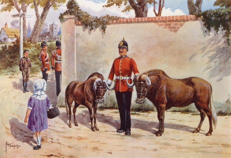 Gnu (o gnu dalla coda bianca), animali domestici dei South Wales Borderers da after Edgar Alfred Holloway