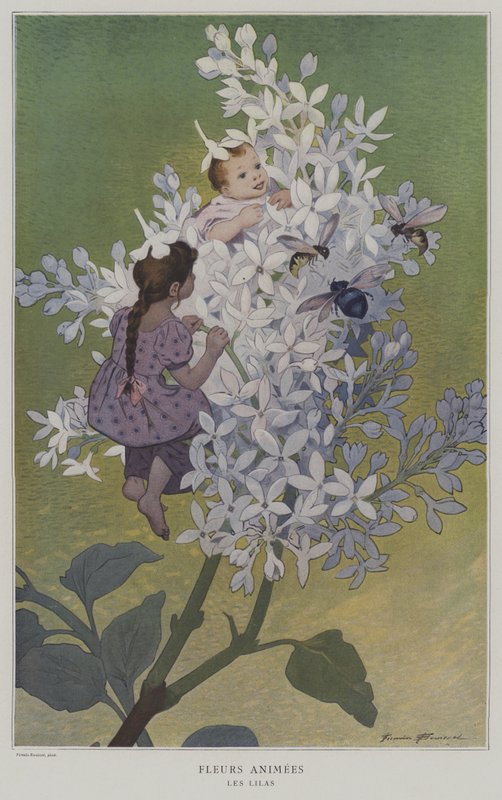 Fiori animati: lillà da after Firmin Bouisset