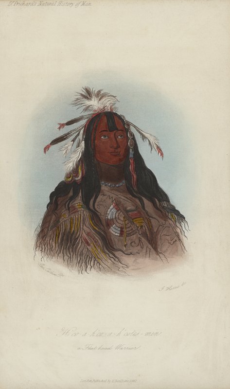 H?co-a-h?co-a-h?cotes-min, un guerriero Flat Head da after George Catlin