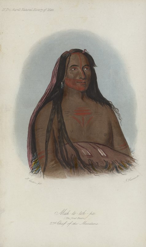 Mah-to-toh-pa, I quattro orsi, secondo capo dei Mandan da after George Catlin