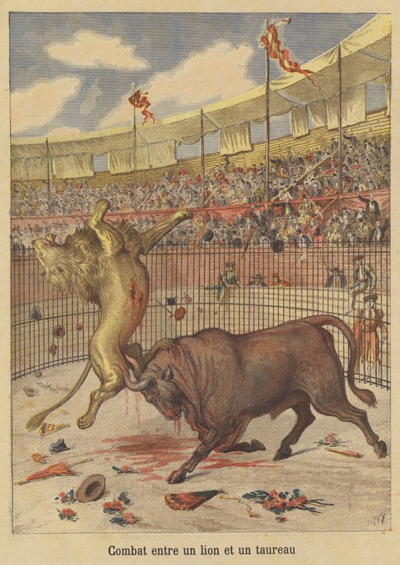 Combattimento tra un leone e un toro da after Henri Meyer