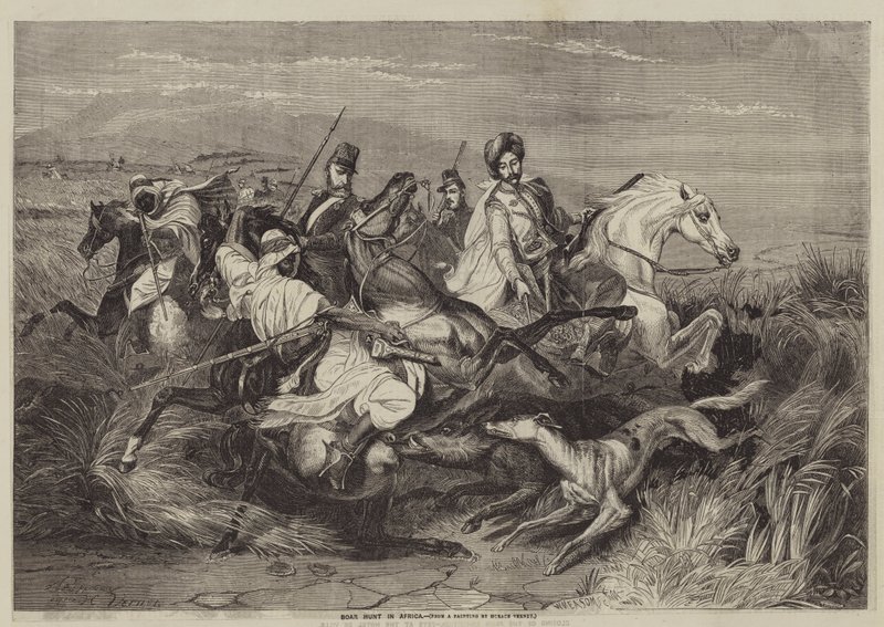 Caccia al cinghiale in Africa da after Horace Vernet