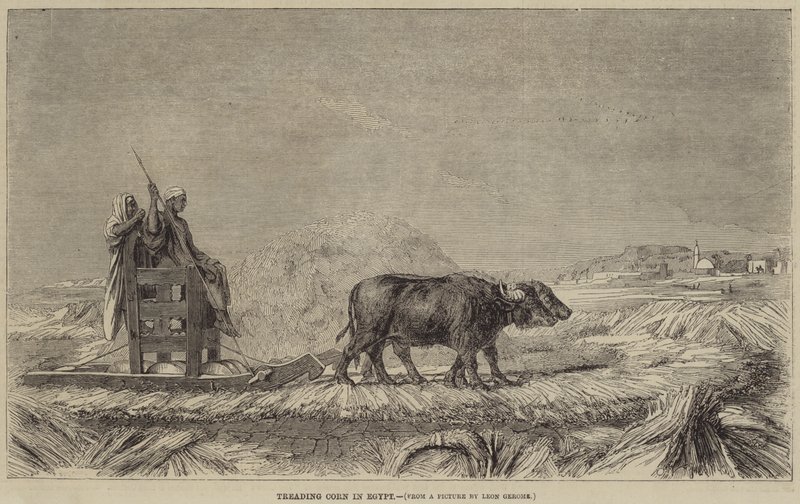 Pestatura del Grano in Egitto da after Jean Leon Gerome