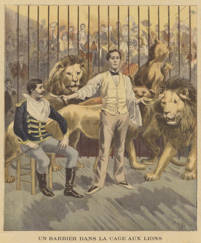Un barbiere nella gabbia dei leoni da after Oswaldo Tofani