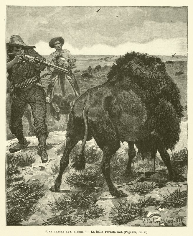 Una caccia ai bisonti da after Richard Caton II Woodville