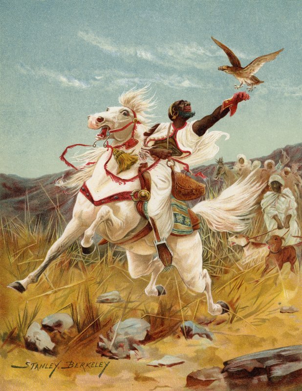 Falconeria in Marocco da after Stanley Berkeley