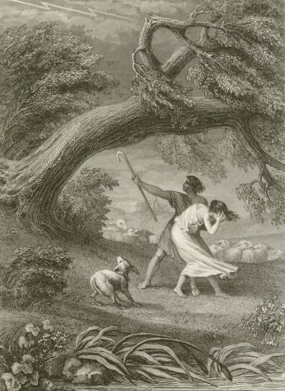 La quercia e la canna da after Tony Johannot