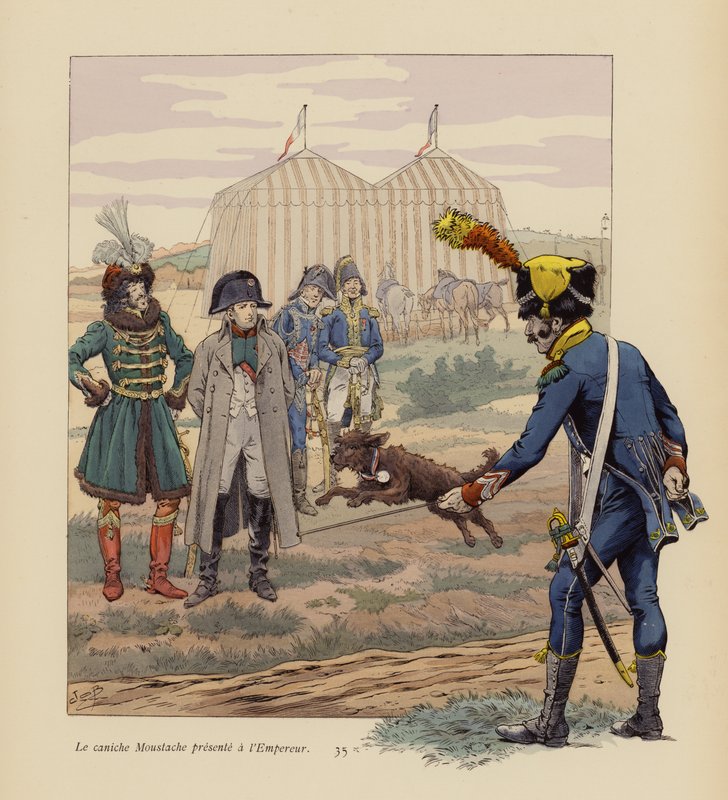 Il cane Moustache presentato a Napoleone da pseudonym for Onfray de Breville Jacques Job