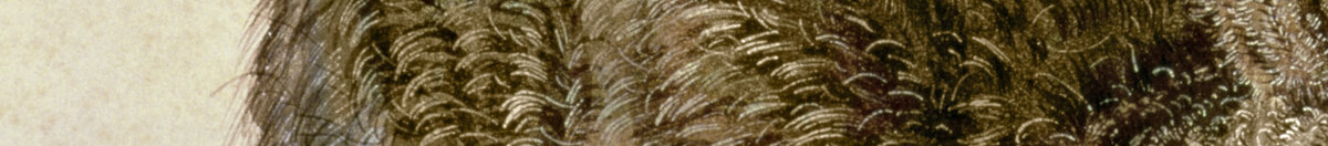 Lepre giovane (Albrecht Dürer), Detail: Fellzeichnung am Rücken