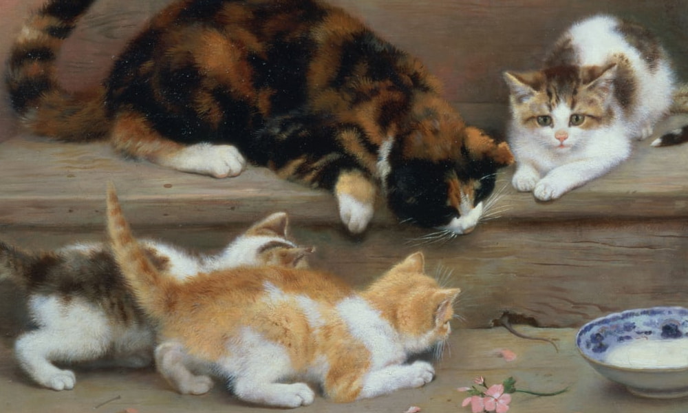 Animali domestici