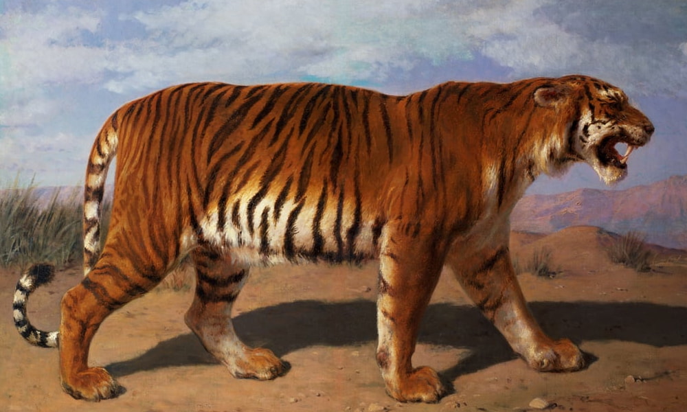Animali selvatici