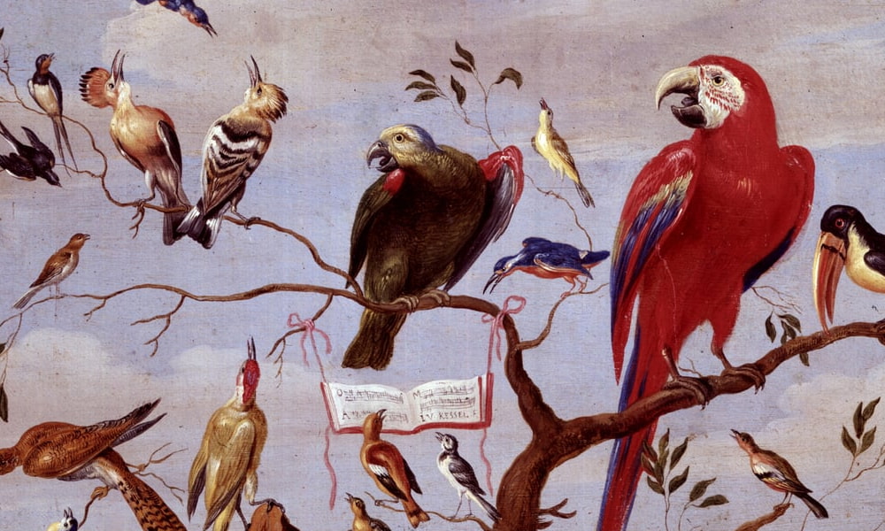 Uccelli