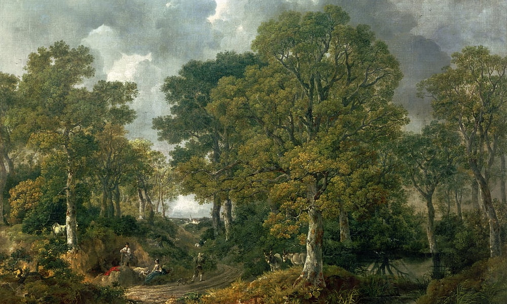 Foresta
