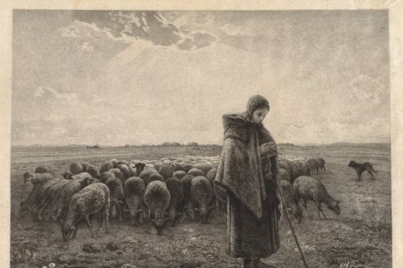 Benjamin Louis Auguste Damman