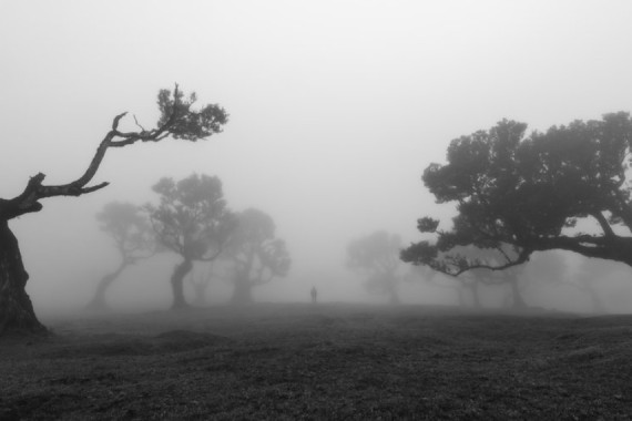 Jochen Bongaerts