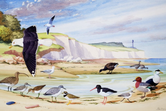 John Rignall