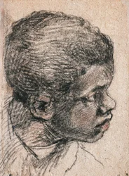 Testa di un ragazzo nero, Paolo Caliari detto il Veronese (1528-1588), disegno