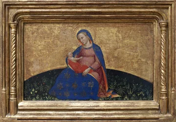 Madonna dell