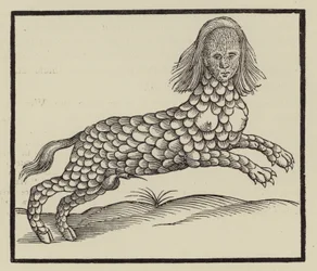 Creatura a quattro zampe con il corpo coperto di scaglie