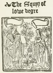 Il cavaliere di basso grado