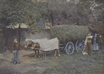 Attelage Bearnais (foto colorata)