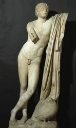 Pothos, copia romana
