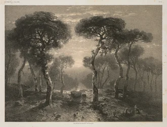 Oeuvres de A. Calame, No. 13: Forêt de Sierre en Valais, 1843 pubblicato 1851