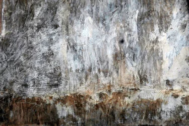 Paesaggio