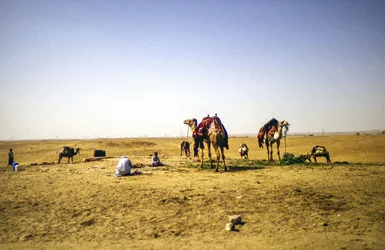 Nel deserto