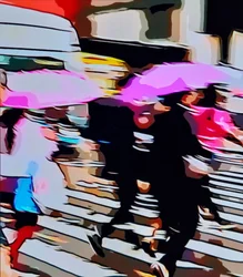 Umbrella pink