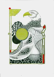 Aquila
