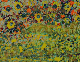 Sinfonia di fiori.