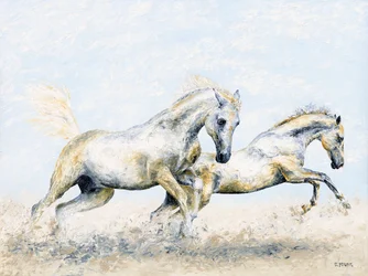 Cavalieri arabi