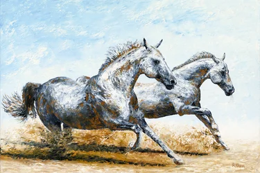 Nato libero