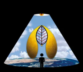 Il grande silenzio