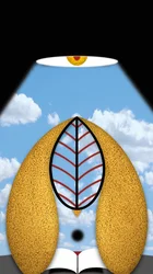 La luce riflessiva